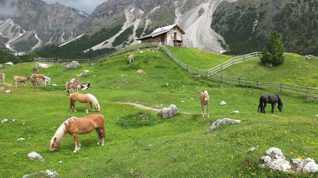 ガルニ レ シャレー Santa Cristina Val Gardena エクステリア 写真