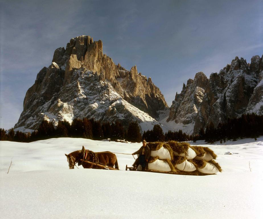 ガルニ レ シャレー Santa Cristina Val Gardena エクステリア 写真