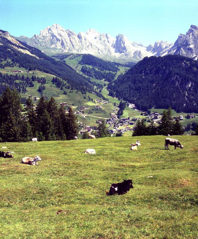 ガルニ レ シャレー Santa Cristina Val Gardena エクステリア 写真