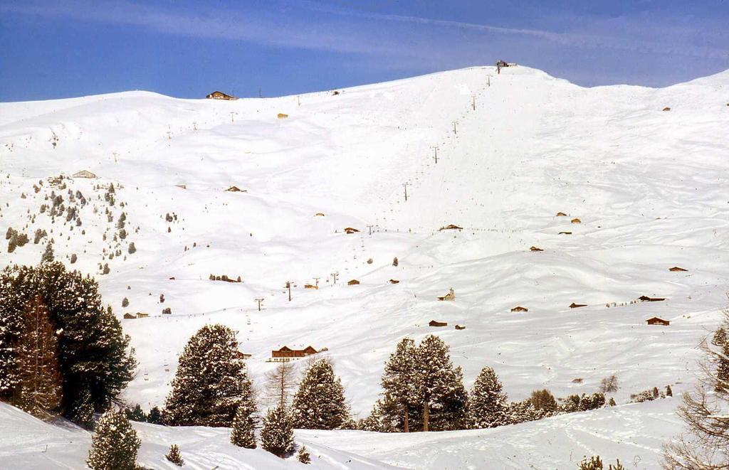 ガルニ レ シャレー Santa Cristina Val Gardena エクステリア 写真