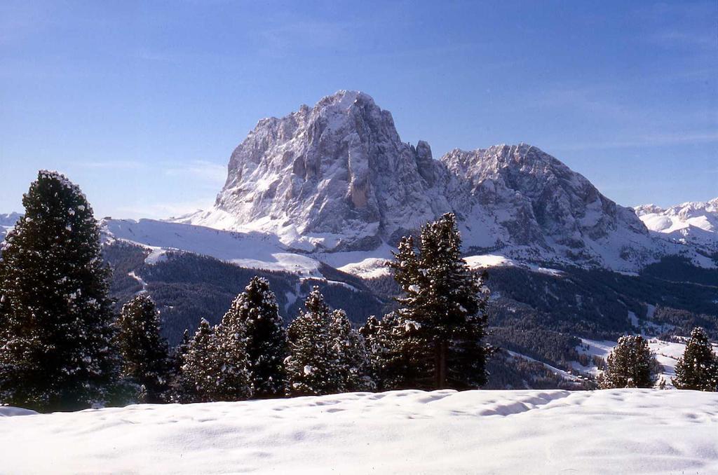 ガルニ レ シャレー Santa Cristina Val Gardena エクステリア 写真