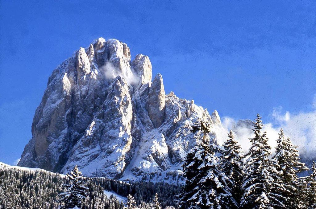 ガルニ レ シャレー Santa Cristina Val Gardena エクステリア 写真