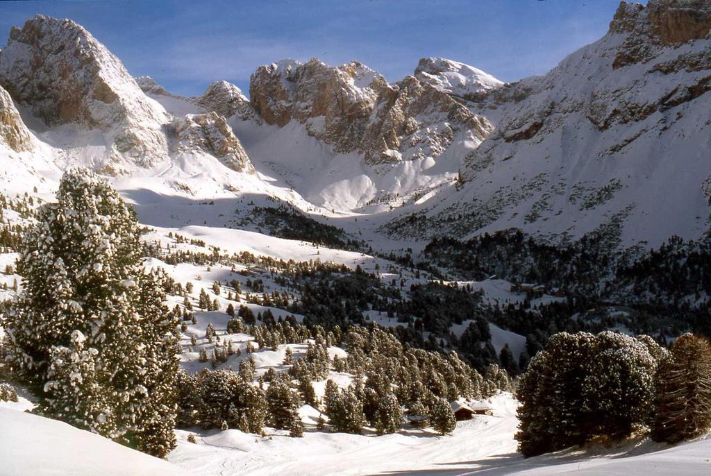 ガルニ レ シャレー Santa Cristina Val Gardena エクステリア 写真