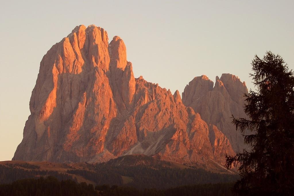 ガルニ レ シャレー Santa Cristina Val Gardena エクステリア 写真