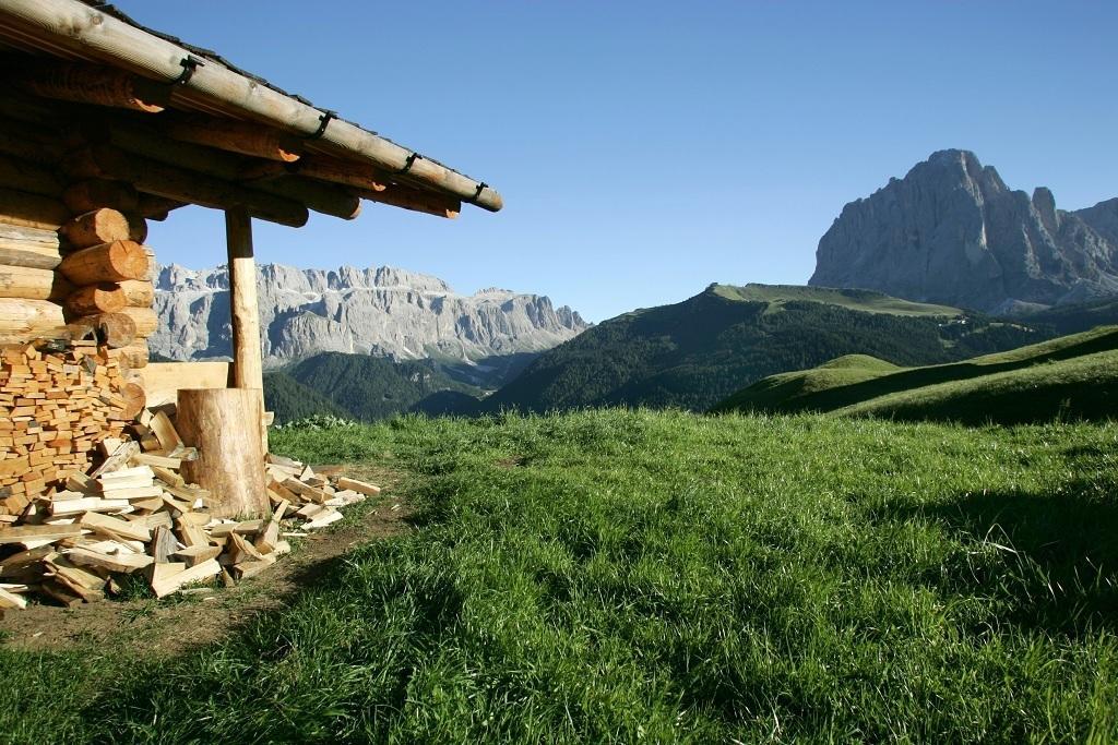ガルニ レ シャレー Santa Cristina Val Gardena エクステリア 写真